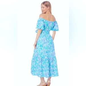 Beautiful amazing maxi dress Iilly pulitzer size XL 14